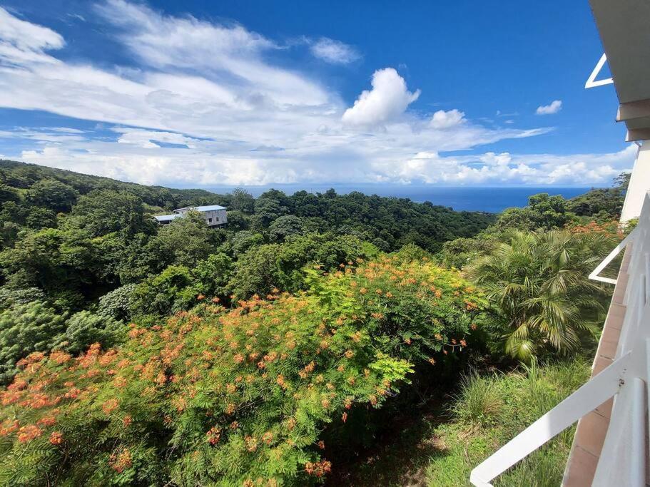 grand studio en bas de villa avec vue sur mer au Carbet Le Carbet Extérieur photo